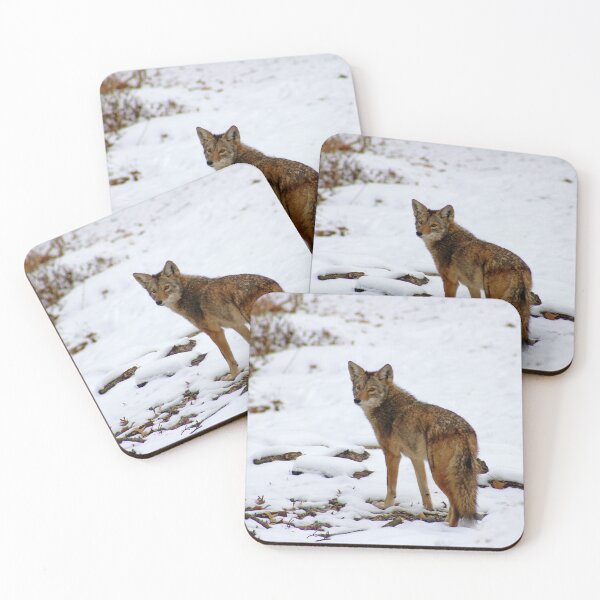 Item preview, Coyote in the Snow designed and sold by mokacat.