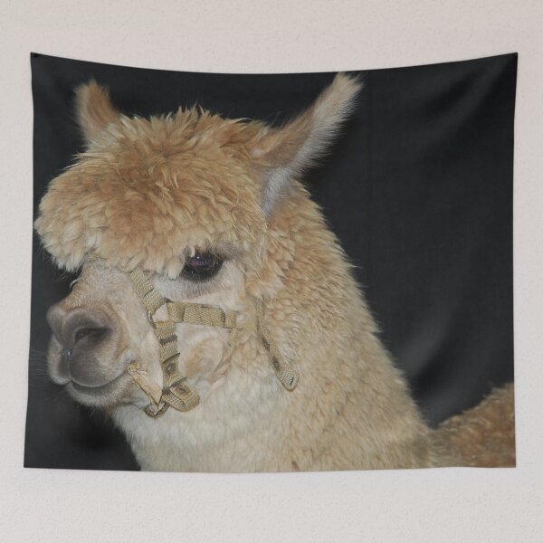 Item preview, Alpaca designed and sold by lizdomett.