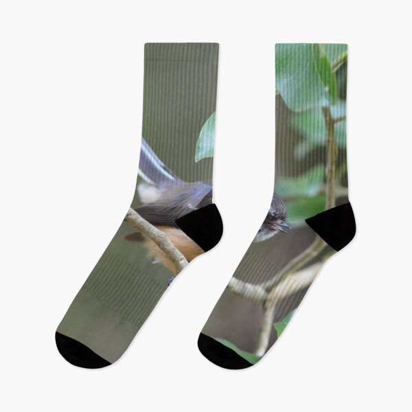 Item preview, Perfectly Balanced- New Zealand Birds designed and sold by lizdomett.