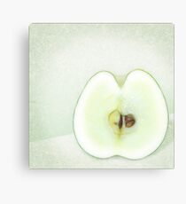 SliceD Canvas Print