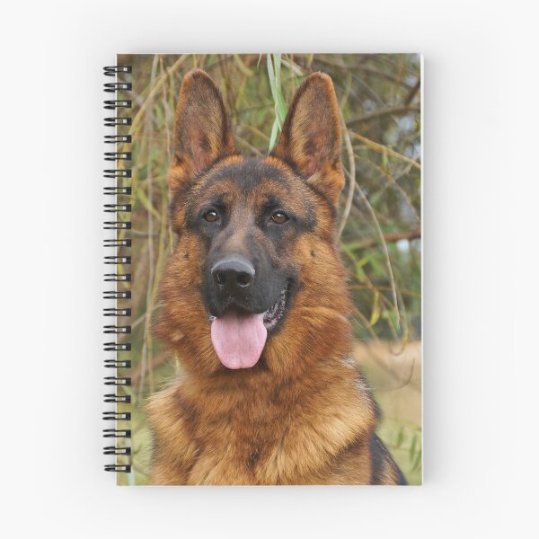Item preview, Rocco designed and sold by Sandy Keeton.