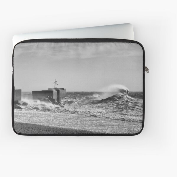 Hastings Harbour Arm Laptop Sleeve