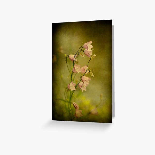 Bella Greeting Card