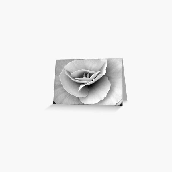 Begonia Greeting Card