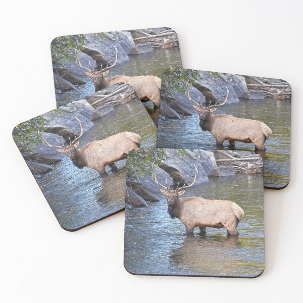 Item preview, Bull Elk in Big Thompson River designed and sold by Catherine Sherman.