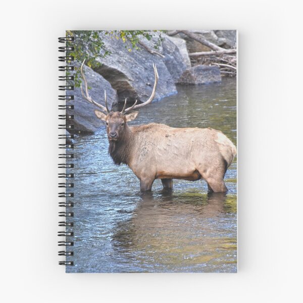 Item preview, Bull Elk in Big Thompson River designed and sold by Catherine Sherman.