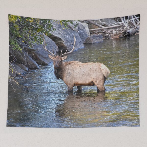 Item preview, Bull Elk in Big Thompson River designed and sold by Catherine Sherman.