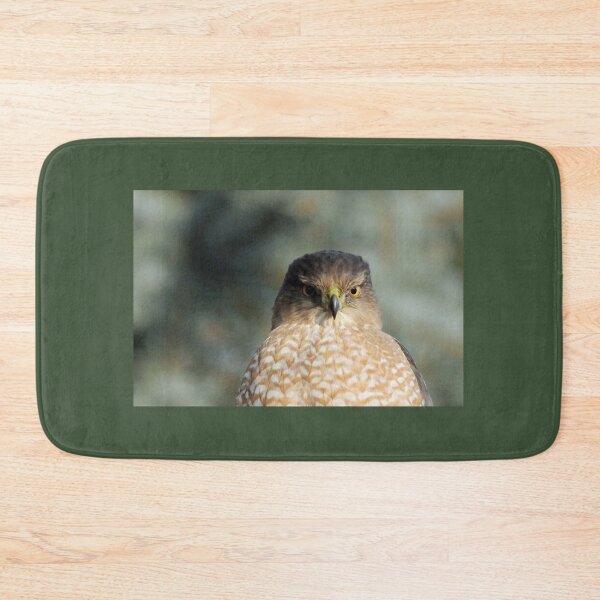 Item preview, Focused On Me - Coopers Hawk designed and sold by Debbie Oppermann.