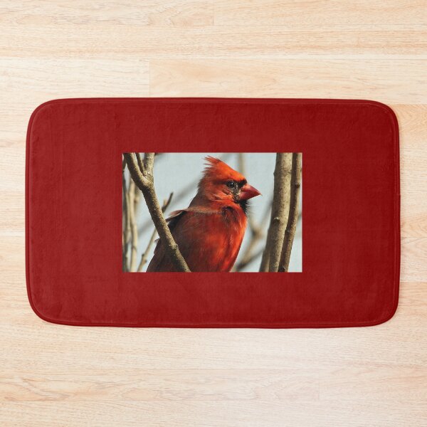 Item preview, Windblown Northern Cardinal designed and sold by Debbie Oppermann.