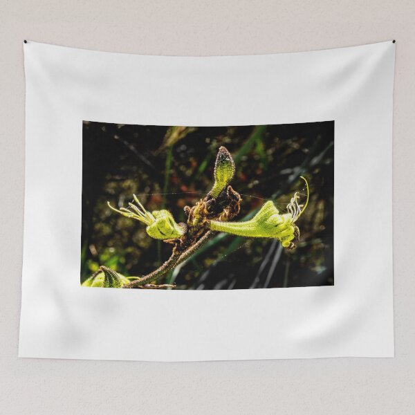 Item preview, Green Kangaroo Paw designed and sold by DPalmer.