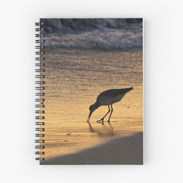 Item preview, Sandpiper in Evening designed and sold by Sandy Keeton.