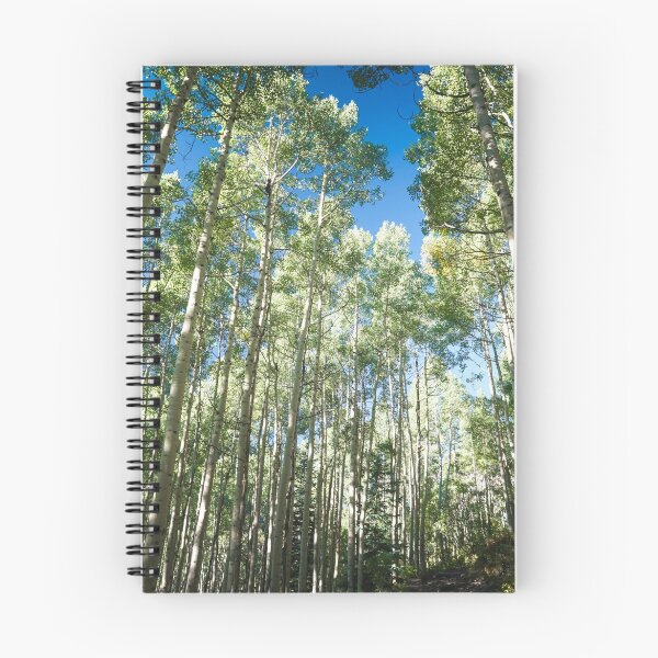 Aperçu de l'œuvre Aspen Tree Trail créée et vendue par DesignUnion.
