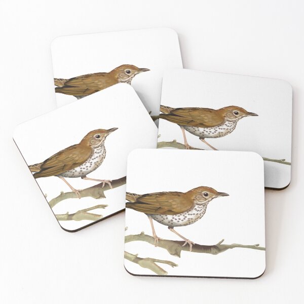 Item preview, Woodthrush designed and sold by thistleandspade.