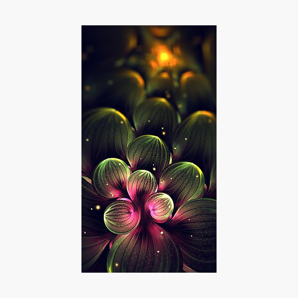 Midnight in Cactus Valley Photographic Print