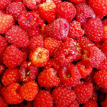 Artwork thumbnail, Raspberrylicious! by Marcia Rubin