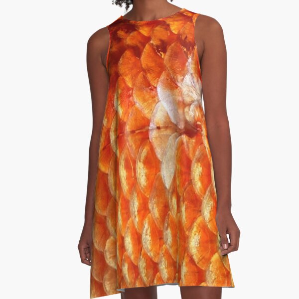 GOLDFISH A-Line Dress