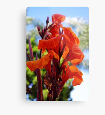 Plumage Metal Print