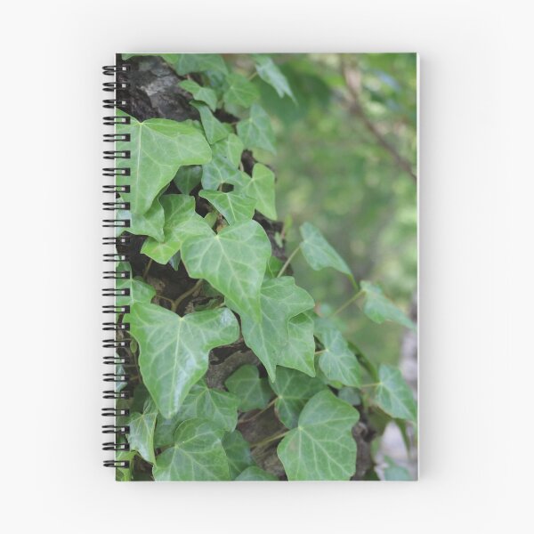 Item preview, Ivy Forest designed and sold by AtomVolk.