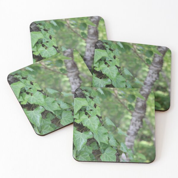 Item preview, Ivy Forest designed and sold by AtomVolk.