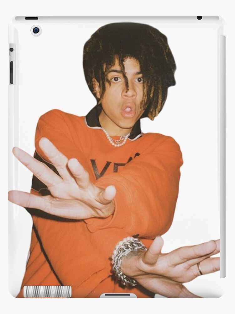 dior ipad case