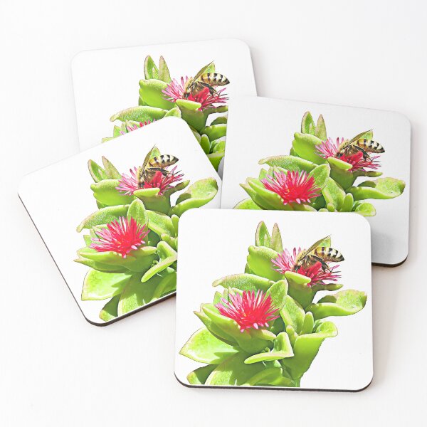 Item preview, Bee Bee In A Succulent Digital Cartoon Bees designed and sold by Jason Gilbert.