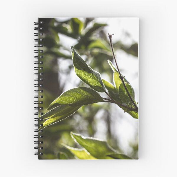 Aperçu de l'œuvre Leaf Glow créée et vendue par DesignUnion.