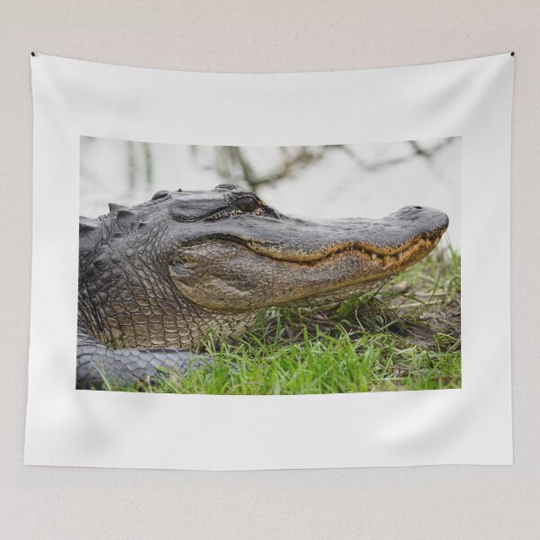 Item preview, Alligator closeup designed and sold by Harrisonphoto.