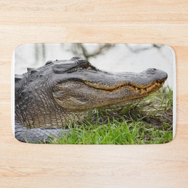 Item preview, Alligator closeup designed and sold by Harrisonphoto.