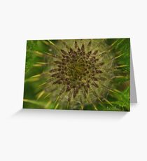 New thistle Greeting Card