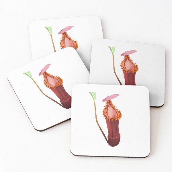 Item preview, Nepenthes Edwardsiana | carnivorous plant | pitcher plant  designed and sold by Carnivorous  Plant Club ⭐⭐⭐⭐⭐.