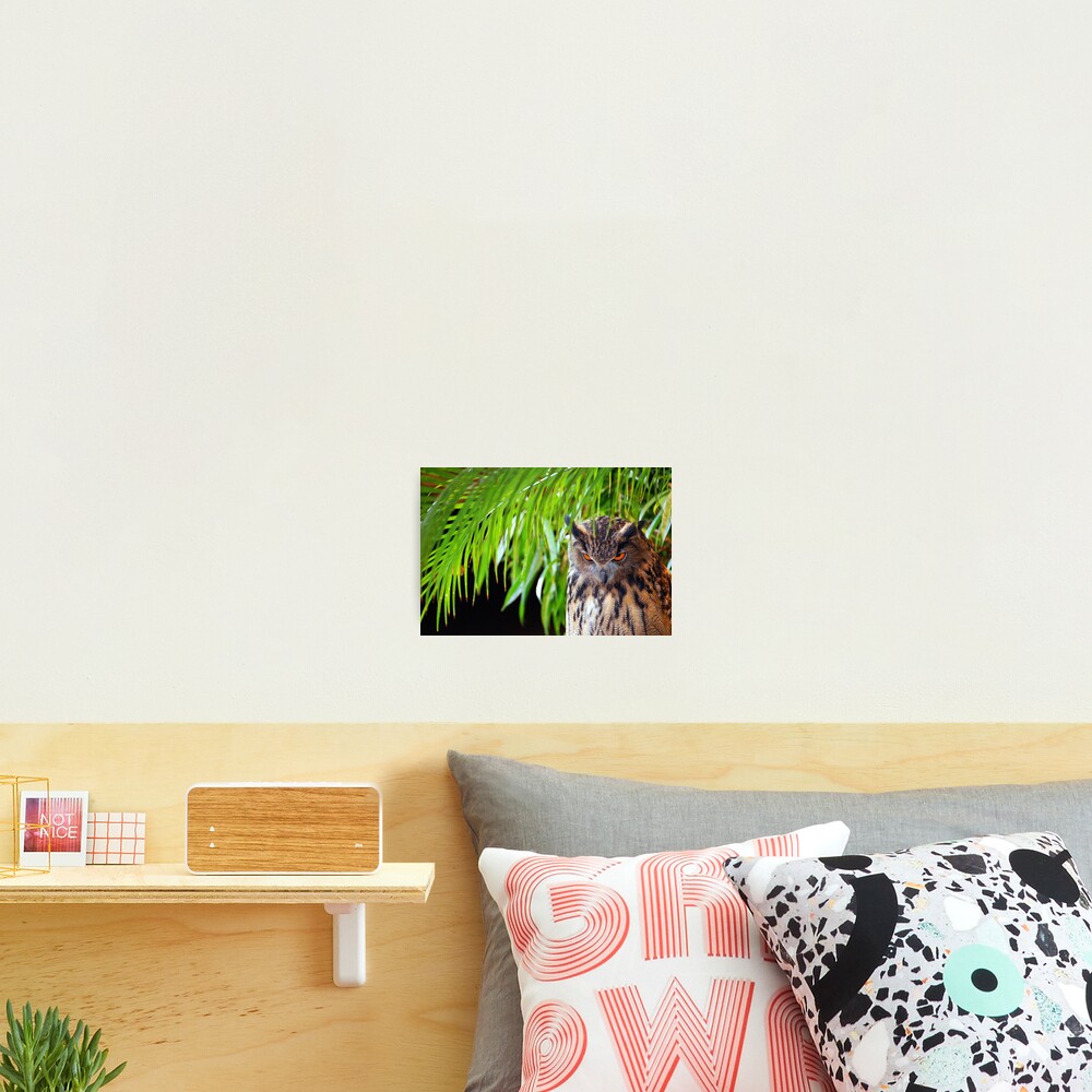 Item preview, Photographic Print designed and sold by rollier.