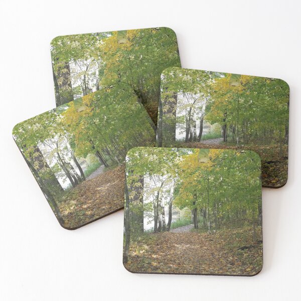 Item preview, Autumn Path  designed and sold by melzie3.