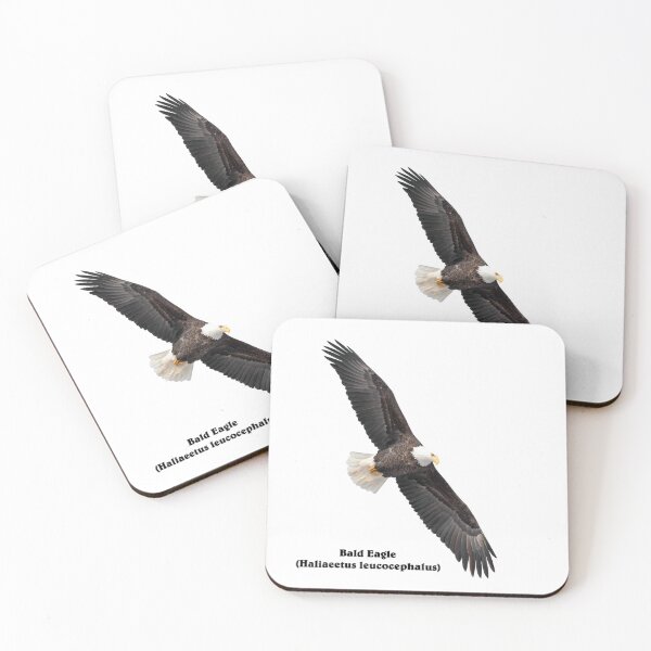Item preview, Isolated Bald Eagle 2019-11 designed and sold by Thomasyoung.