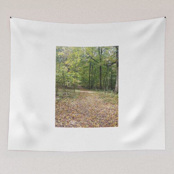 Item preview, Early Autumn Path  designed and sold by melzie3.