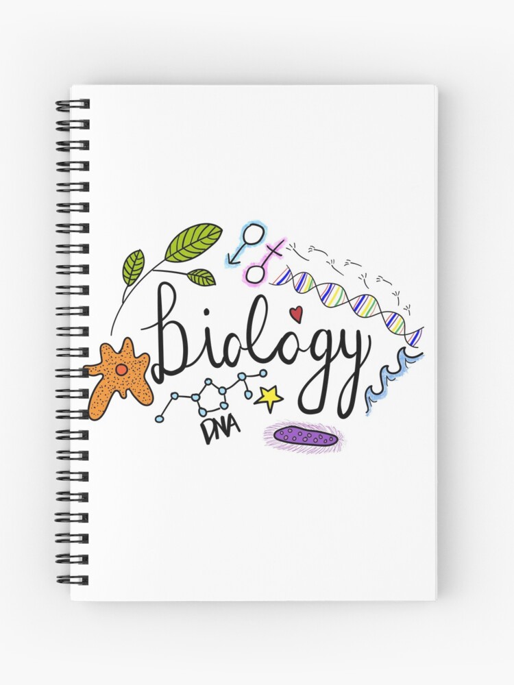 Doodle Science vector illustration . Biology and Biotechnology set. Hand  Sketches on the theme of Zoology, Botany, Anatomy on white background Stock  Vector Image & Art - Alamy