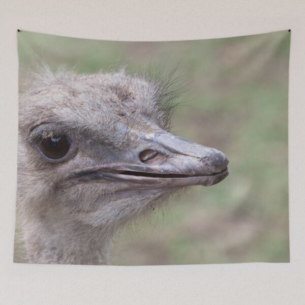 Item preview, Ostrich Portrait designed and sold by Allen Penton.