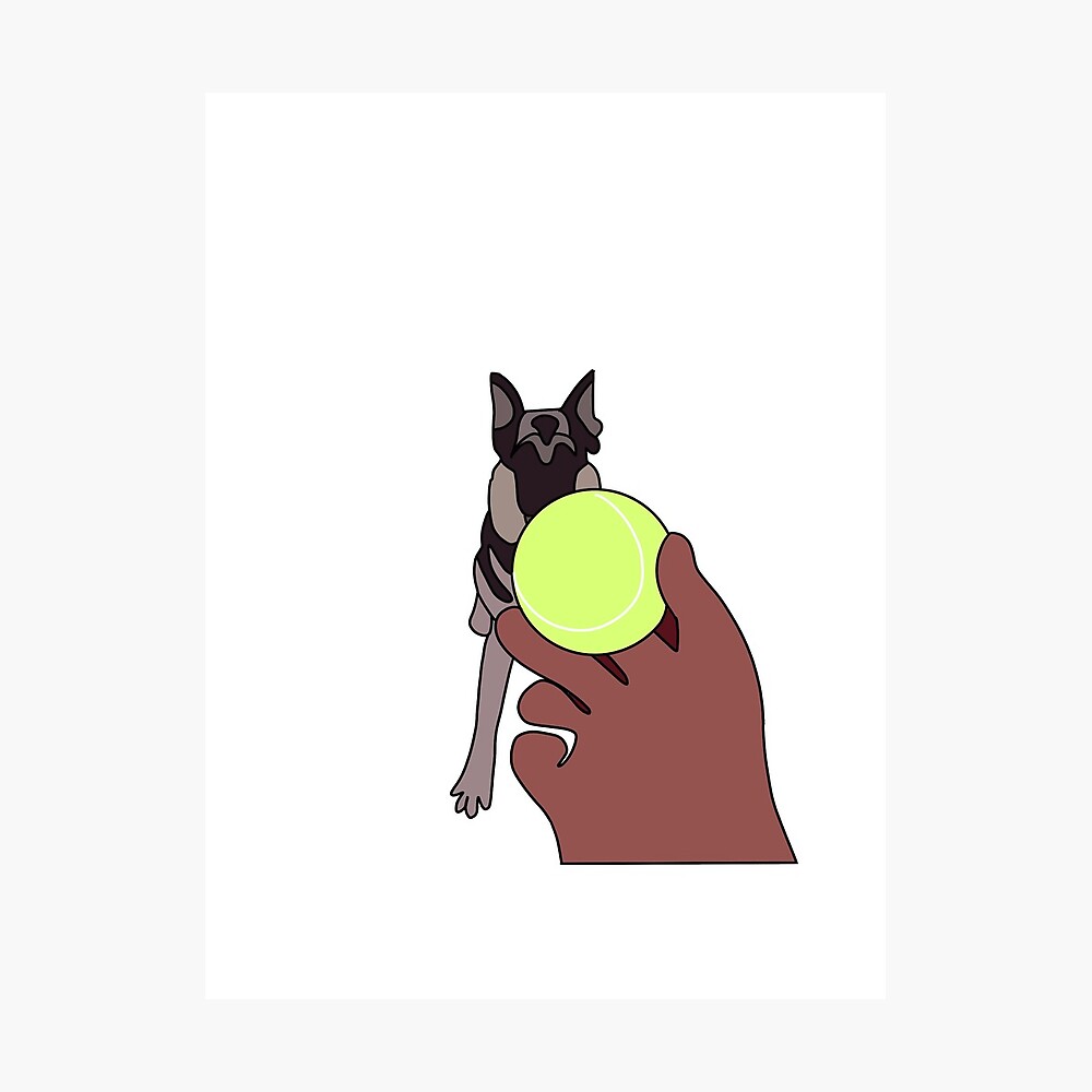 Duke Do You Want The Ball Duke Do You Want The Ball - Meme Pict