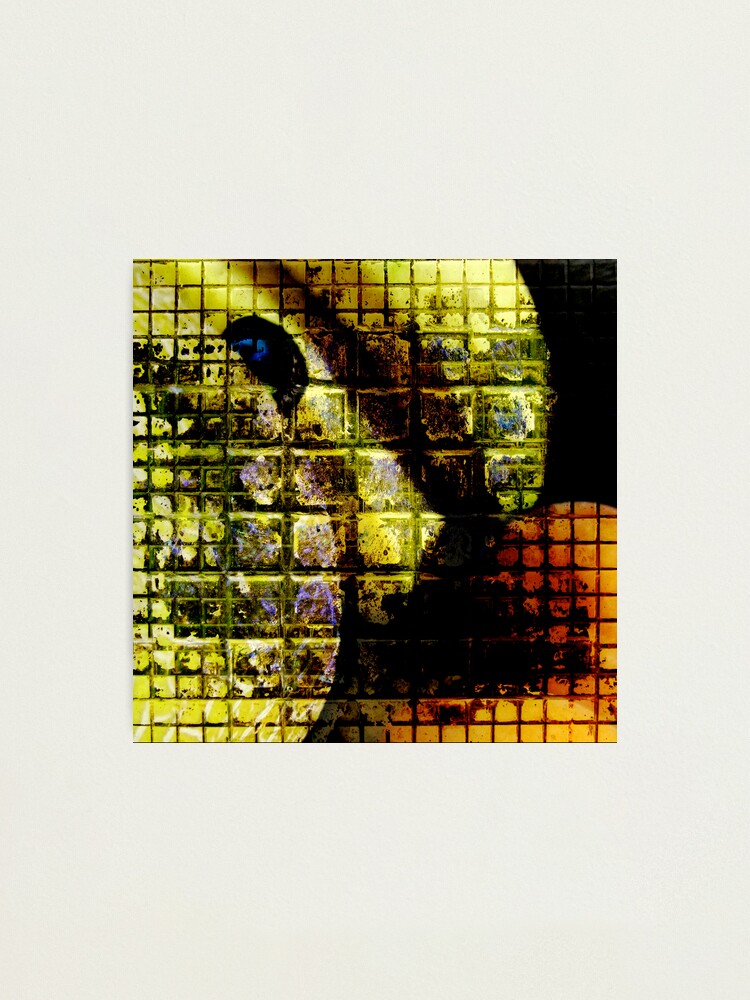 Alternate view of Still Alive ;-) Photographic Print