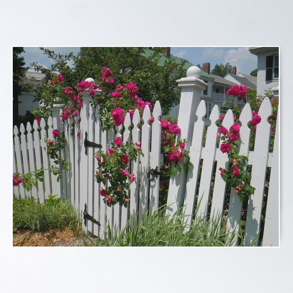 Item preview, White Picket Fence designed and sold by Betty Mackey.