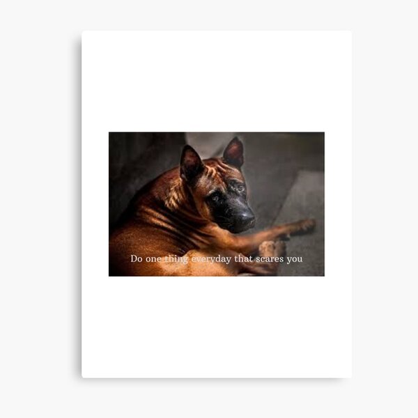 Do one thing everyday that scares you Metal Print