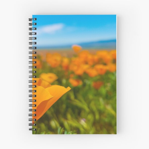 Item preview, Golden Poppies designed and sold by AnythingButGray.