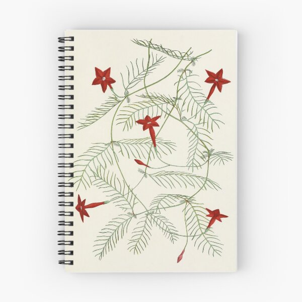 Item preview, Cypress Vine designed and sold by jimonym.