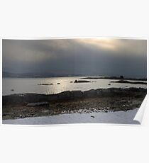 Cold Cormorant Poster