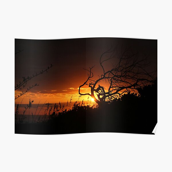 Fire in the Sky Poster