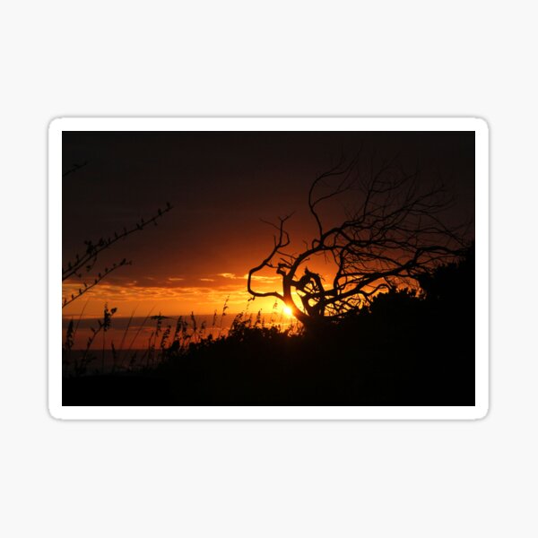 Fire in the Sky Sticker