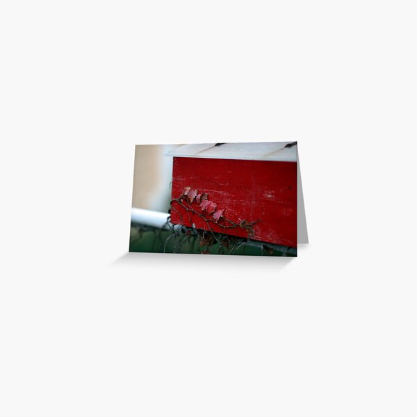 Letter Box Greeting Card