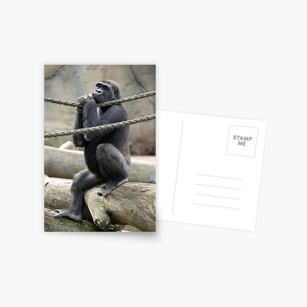 I Wonder Postcard