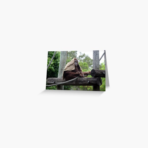 You Can't See Me Greeting Card