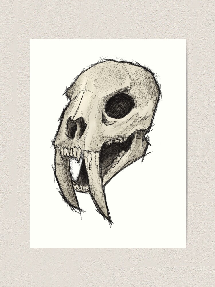 "Sabertooth Tiger Skull" Art Print by artofalyksandr Redbubble