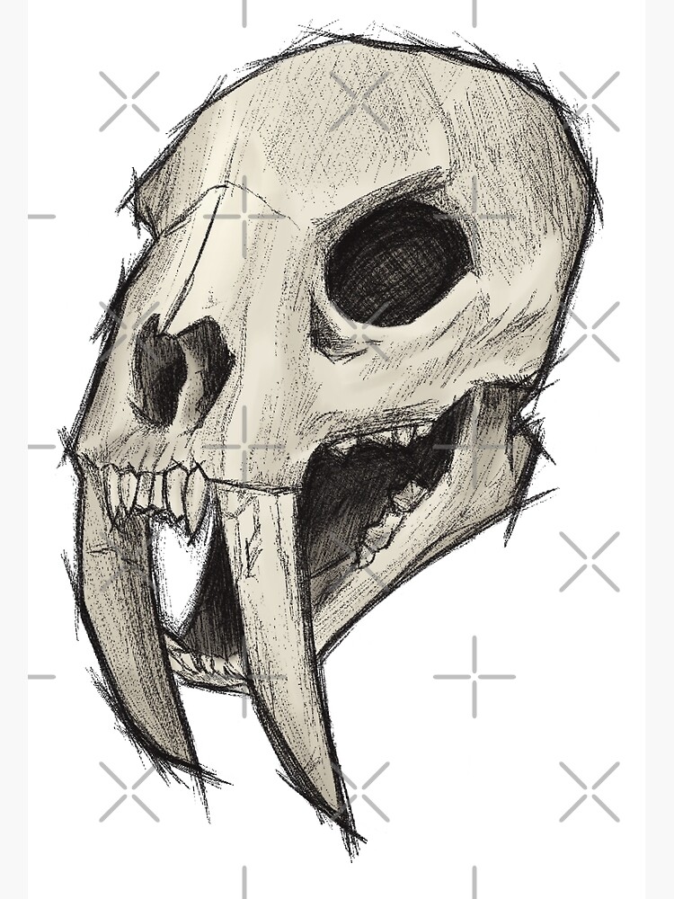 "Sabertooth Tiger Skull" Art Print by artofalyksandr Redbubble